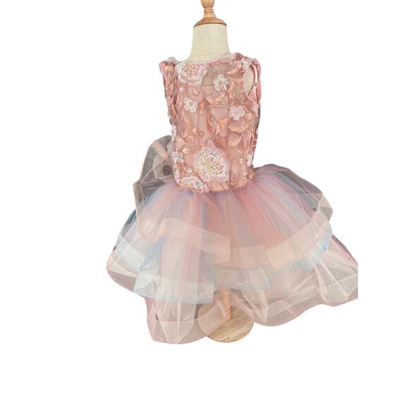Revolution Dancewear Meadow Garden Ballet Costume Tutu Dress Pink Floral - Picture 6 of 10